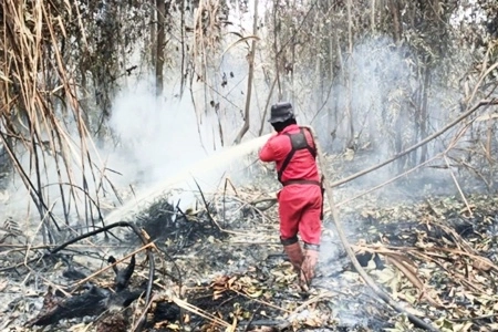  Data Satelit Ungkap Lonjakan Karhutla Masih Mengganas di Riau, Operasi Udara dan Darat Dikerahkan