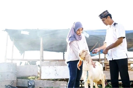 Umat Islam Dianjurkan Berkurban Bukan Hanya Sekali Tapi Setiap Tahun