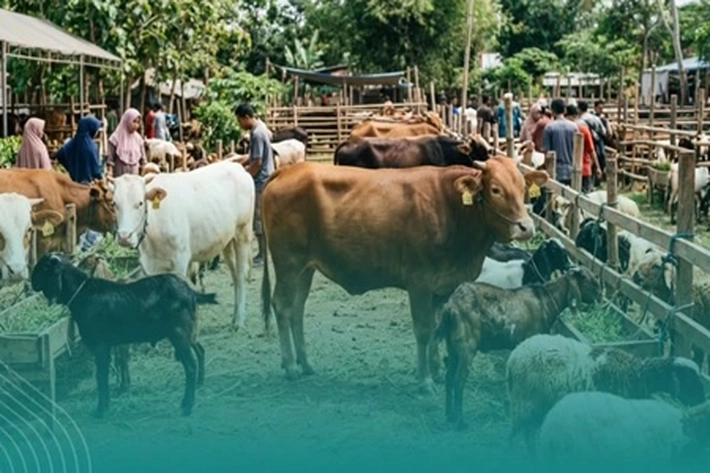 Pemko Tingkatkan Kompetensi Juru Sembelih Jelang Iduladha 1447 Hijriyah