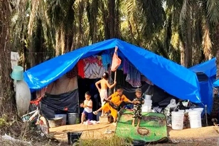 Enam Bulan Bencana Sumatera, 'Tetapi Kebun Masih Rusak dan Bantuan Pun Hanya Janji'
