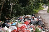 Dewan Dukung Tindakan Tegas Wako Pekanbaru Soal Tangani Sampah