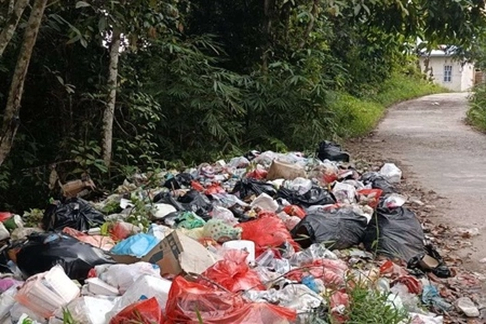 Dewan Dukung Tindakan Tegas Wako Pekanbaru Soal Tangani Sampah
