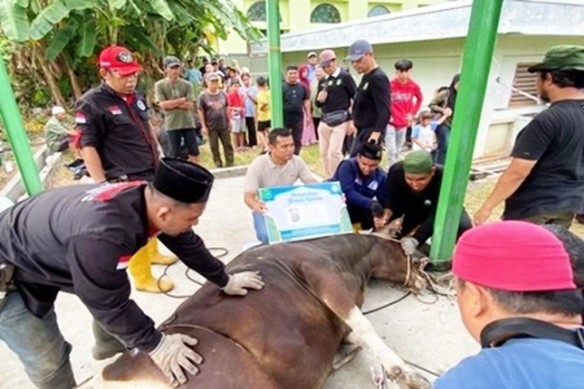 Masjid An-Nur Sembelih 8 Ekor Sapi dan 3 Ekor Kambing yang Distribusikan ke Masyarakat