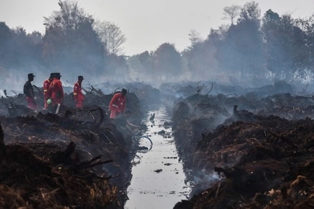 Waspada Cuaca Masih Panas Buat Karhutla Mengancam Khususnya pada Lahan Gambut
