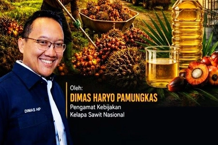  Harga TBS Jatuh: Saatnya Menenangkan Pasar, Agar Seluruh Ekosistem Tidak Ikut Tertekan