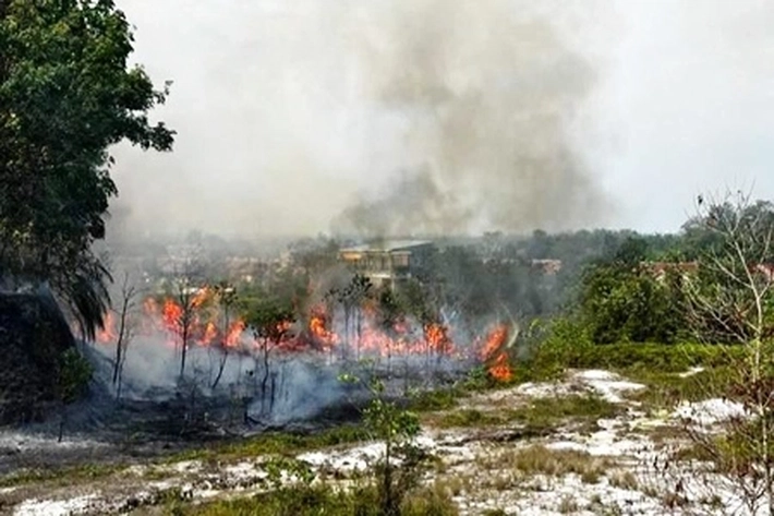 Riau Tetapkan Siaga Darurat Karhutla karena Sudah Ada 51 Hotspot yang Mengepung Sumatera