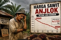 Harga Sawit Turun Buat Petani Jadi Korban