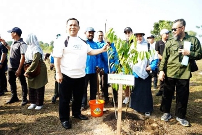 Ribuan Pohon Pelindung Ditanam pada Kawasan Stadion Utama untuk Lepas dari Kegersangan