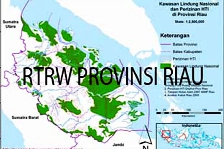 RTRW Riau Masih Hadapi Hambatan Serius karena Tersandera Konflik Tata Ruang