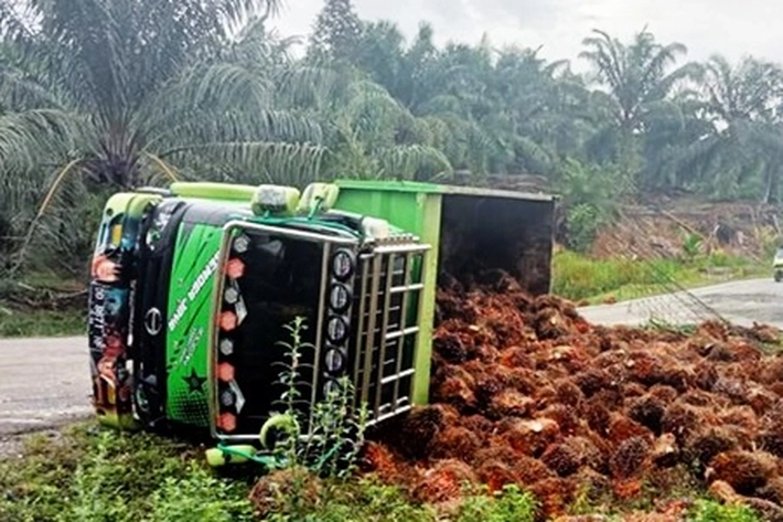 Truk Sawit Sering Terguling di Jalan Lintas Sumatera yang Sudah Rusak Parah
