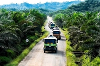 MoU Pemprov dan Agrinas Diharap Bisa Dipercepat, DPRD Riau: Ada Potensi 40 Ribu Hektare Kebun Bernilai Besar