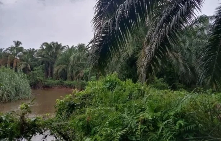 HMI Minta Polda Riau Lakukan Penyidikan Status Tersangka PT Musim Mas, Humas Malinton Purba 'Bungkam'