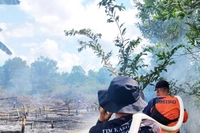 El Niño Mulai Memengaruhi Kondisi Kehidupan Manusia dari Kebakaran Hutan, 'Juga Bisa Terjadi Perubahan Cuaca, Ekonomi, Kekeringan Sampai Kesehatan'