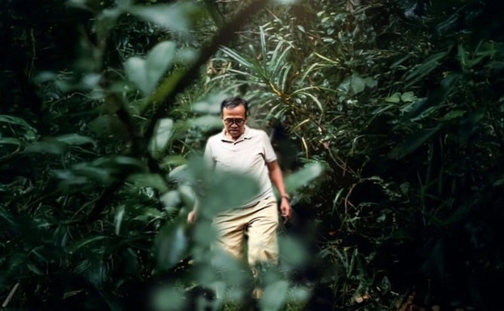 Belajar dari Bencana Terjadi, Bagaimana Jika Tidak Ada Hutan? 