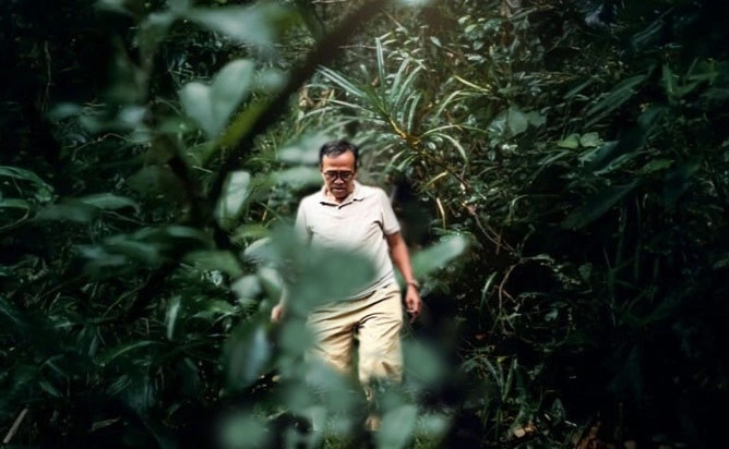 Belajar dari Bencana Terjadi, Bagaimana Jika Tidak Ada Hutan? 