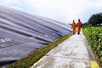 Musim Mas Jaga Lingkungan dengan Kelola Area Konservasi dan Ubah Limbah Jadi Listrik