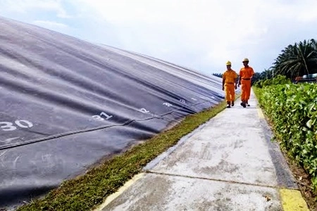 Musim Mas Jaga Lingkungan dengan Kelola Area Konservasi dan Ubah Limbah Jadi Listrik