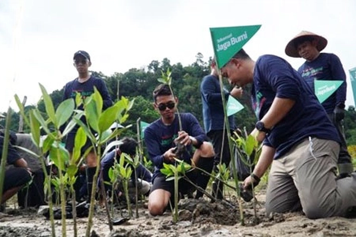 Telkomsel Jaga Bumi dengan Aksi Nyata Tanam 3000 Pohon Mangrove untuk Lingkungan Berkelanjutan