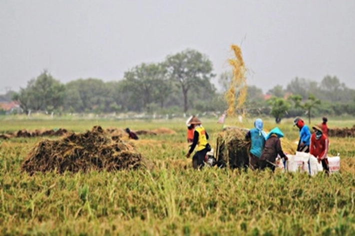 Pemprov Riau Dorong Program Pemberdayaan Ekonomi Melalui Baznas