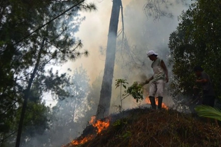 Karhutla Mengintai Sumatera, Sudah 12 Titik Panas Menyala di Riau