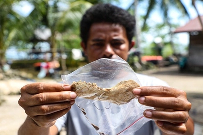 Belantara Foundation Perkuat Perhutanan Sosial untuk Dorong Ekonomi Desa Berkelanjutan