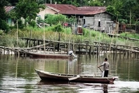 Ojek Sampan di Sungai Siak Masih Bertahan Walaupun dalam Situasi Ekonomi yang Sulit