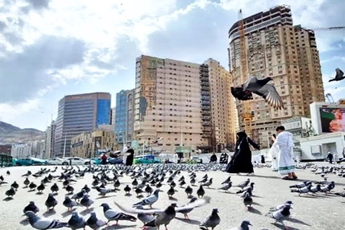 Taman Burung Wisata Edukatif untuk Keluarga Jemaah Haji dan Umrah di Makkah