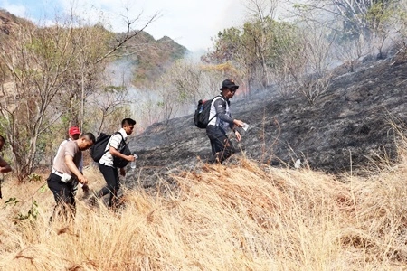 Tim Manggala Agni Padamkan Karhutla di Riau yang Sudah Memasuki Fase Positif
