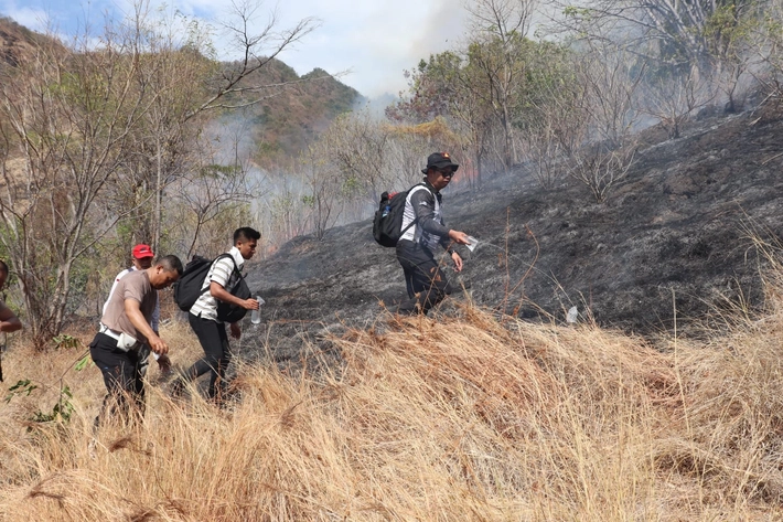 Tim Manggala Agni Padamkan Karhutla di Riau yang Sudah Memasuki Fase Positif