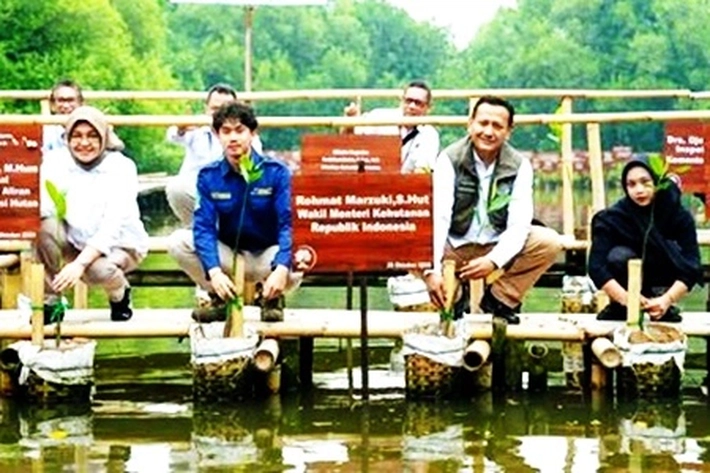 Pemerintah, Dunia Usaha dan Masyarakat Perkuat Sinergi dalam Peringatan Hari Mangrove Sedunia