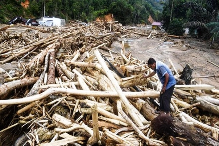 Korban Bencana Banjir dan Longsor di Aceh Minta Pemerintah Tidak Lambat Tangani Bencana, 'Tapi Bayang-bayang Referendum Mulai Mengemuka'