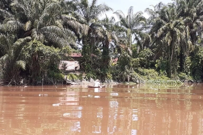 Sungai Banyak Alami Penyusutan Perlahan dari Pengelolaan Kebun Sawit, 'Bahkan ada yang Sampai Hilang di Dalam Konsesi'