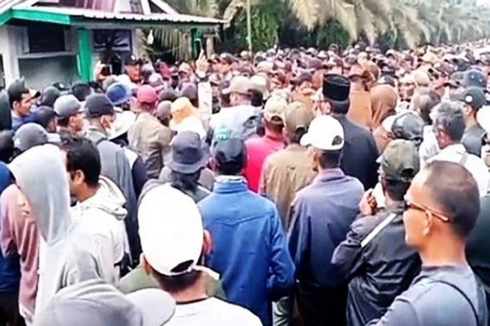 HGU dan Masalah Kemitraan PT THIP Belum Temukan Penyelesaian, 'Jadi Kena Geruduk Ribuan Warga'
