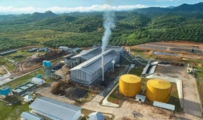 PT MASG di Inhu Diduga Tampung Sawit Ilegal dari TNTN, Walhi: 'Dari Dulu Mestinya Sudah Harus Ditindak Secara Pidana'