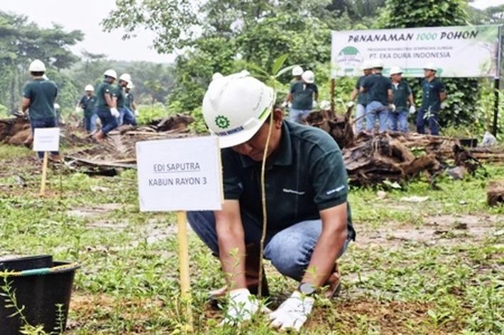 Saban Tahun PT Eka Dura Indonesia Gelar Penghijauan di Sepadan Sungai Rokan