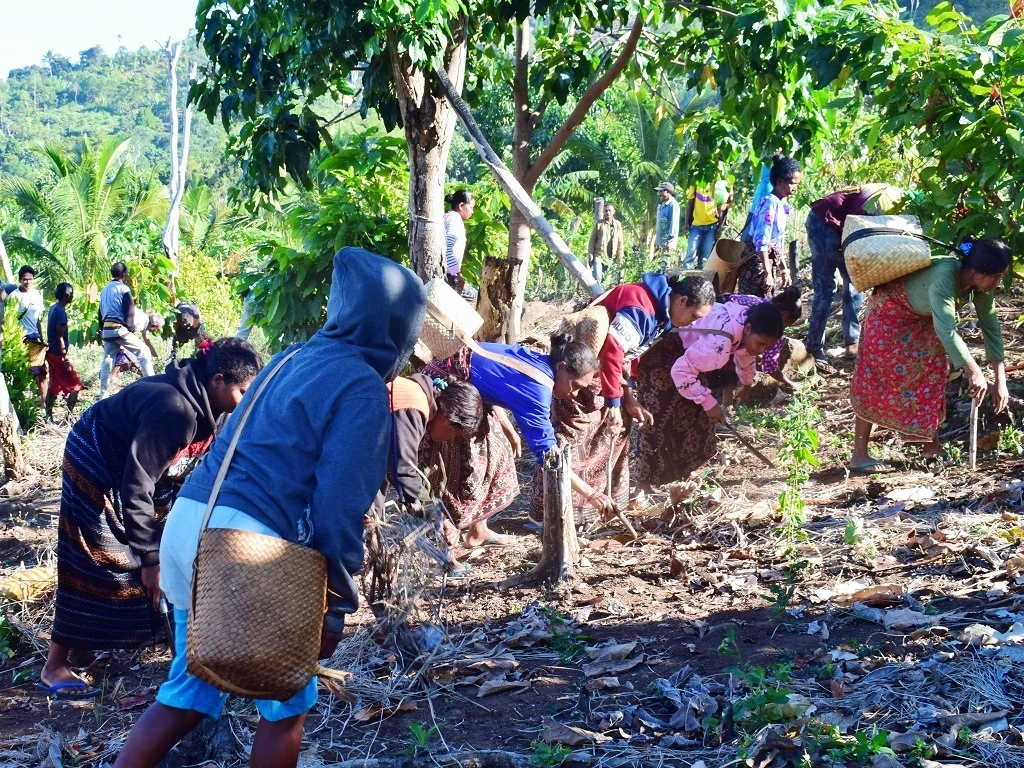 Perhutanan Sosial Bisa Raup Untung Sambil Jaga Hutan