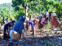 Perhutanan Sosial Bisa Raup Untung Sambil Jaga Hutan