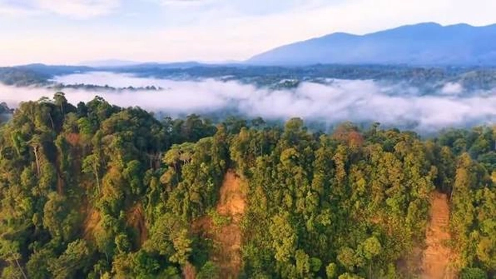 TNBT Tergerus, Pelaku Perusak Kawasan Pelestarian Alam Diamankan