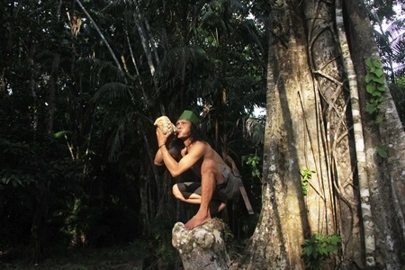 Sengkarut Hutan Adat Riau yang Tersisa Masih Kuat Dijaga dan Dilindungi, 'Ditengah Berbagai Kendala Membelit dari Ancaman Korporasi'