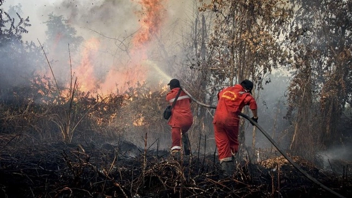 Defisit Anggaran Berdampak pada Penanganan Karhutla, BNPB Riau: Juga Berpengaruh pada Kesehatan Masyarakat
