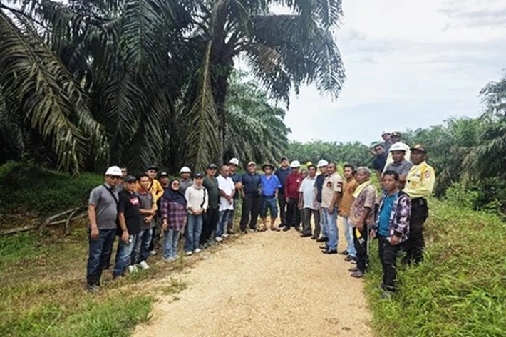 Masyarakat Adat Talang Parit dapat Kebun Sawit di Atas Lahan PT Inecda Plantation, 'Jadi Menderita karena Kalah di Gugatan RSPO'