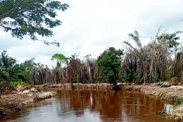 Kasus Dugaan Perusakan Lingkungan PT Musim Mas Masih Uji Berkas di Kejati, Jikalahari: Pengenaan Hukumnya Harus Gunakan Multi Undang-Undang