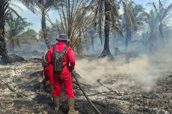 Karhutla Riau Belum Usai, Operasi Manggala Agni Masih Berlangsung di 4 Kabupaten