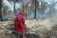 Karhutla Riau Belum Usai, Operasi Manggala Agni Masih Berlangsung di 4 Kabupaten