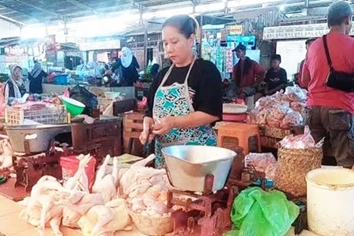 Harga Daging ayam Melonjak yang Sudah Dikeluhkan Masyarakat