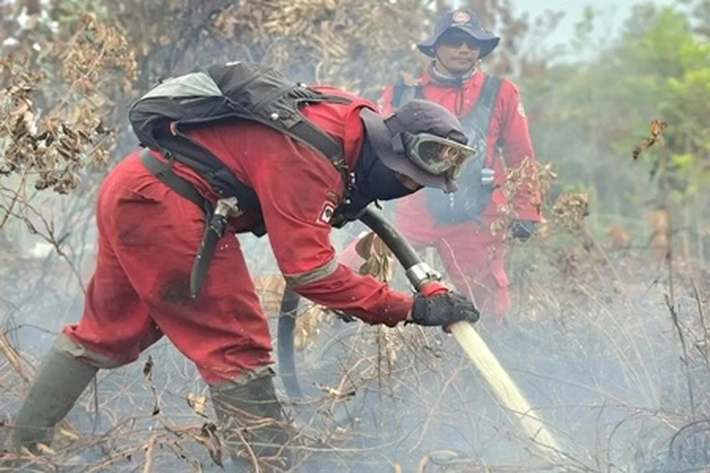 Manggala Agni Daerah Operasi Rengat Akui Karhutla di Inhu Sudah Meluas