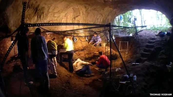  Manusia Modern dan Neanderthal Pernah Hidup Bersama 10 Kali Lebih Lama