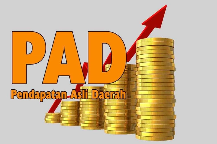 Kinerja UPT Bapenda Disorot, DPRD Riau: Perlu Dievaluasi untuk Optimalkan PAD