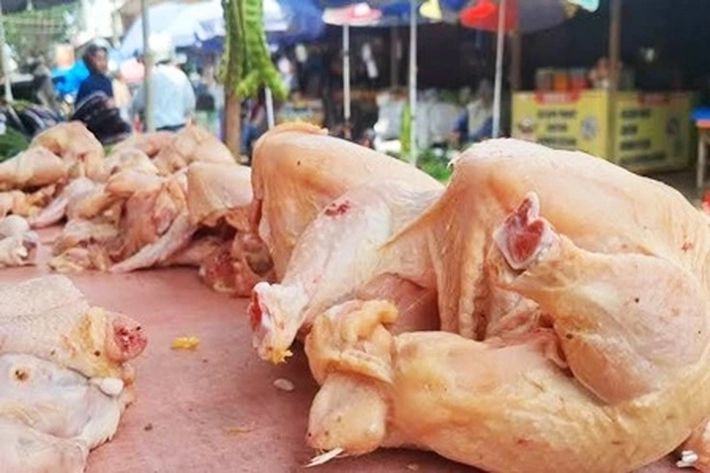 Harga Daging Ayam Meroket Disejumlah Pasar Tradisional yang Berpotensi Menambah Tekanan Pangan di Pekanbaru 