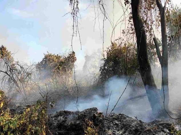  BBKSDA Perkirakan ada 5 Hektare Lahan Gambut Hangus Terbakar di Kawasan Suaka Margasatwa Kerumutan